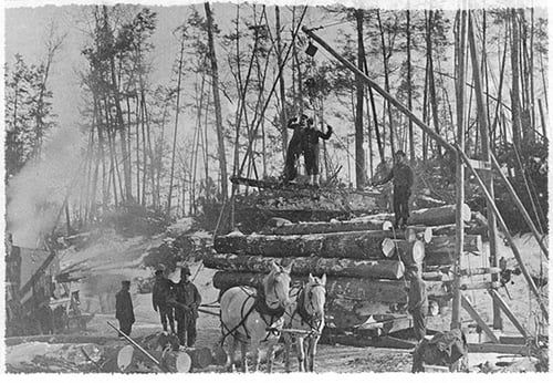 Menominee Forest 1854