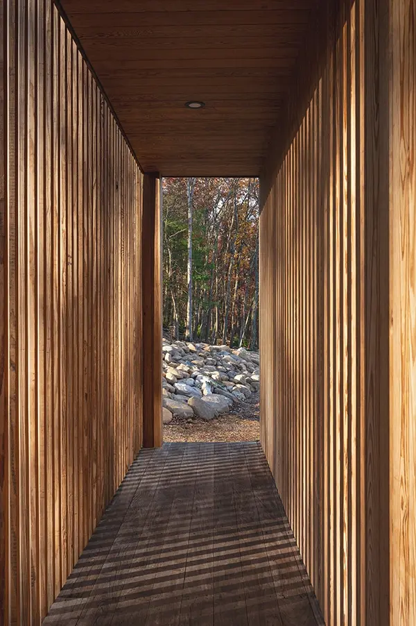 Cambium_Thermal-Oak-Clear_Decking_af43 WEB small