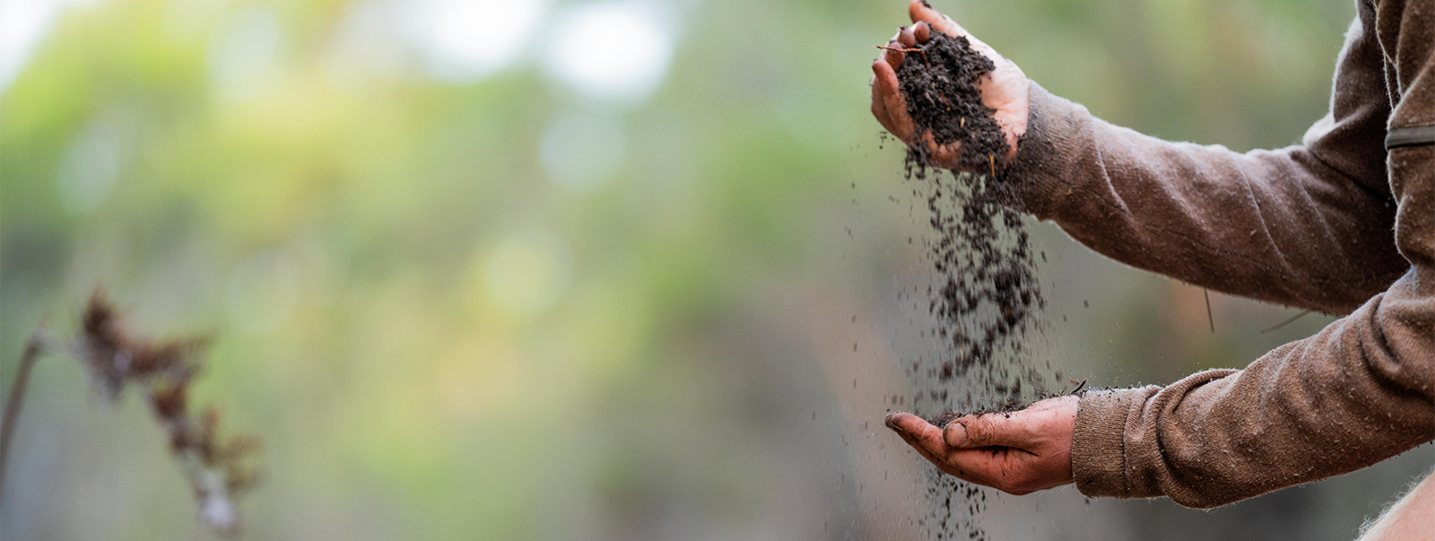 Human Health: Red List Free Wood Products and Indoor Air Quality