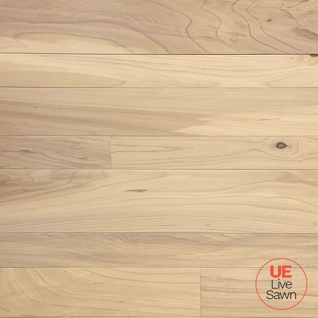 Live Sawn Elm Interior Wall Cladding in Matte Clear Finish