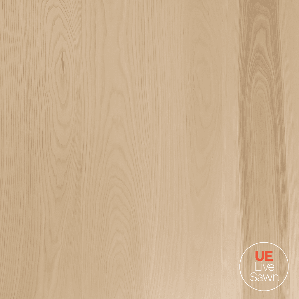 Image of Live Sawn Bright Ash Veneer Wood Paneling in Soft White