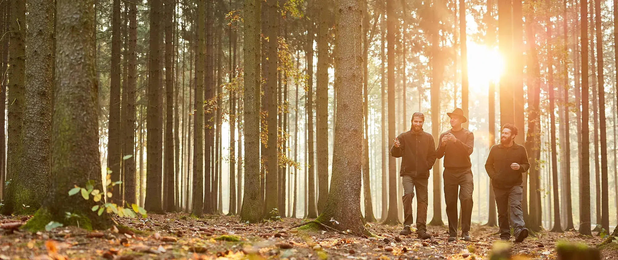 Select Harvest: Local Partnerships for Responsible Forestry