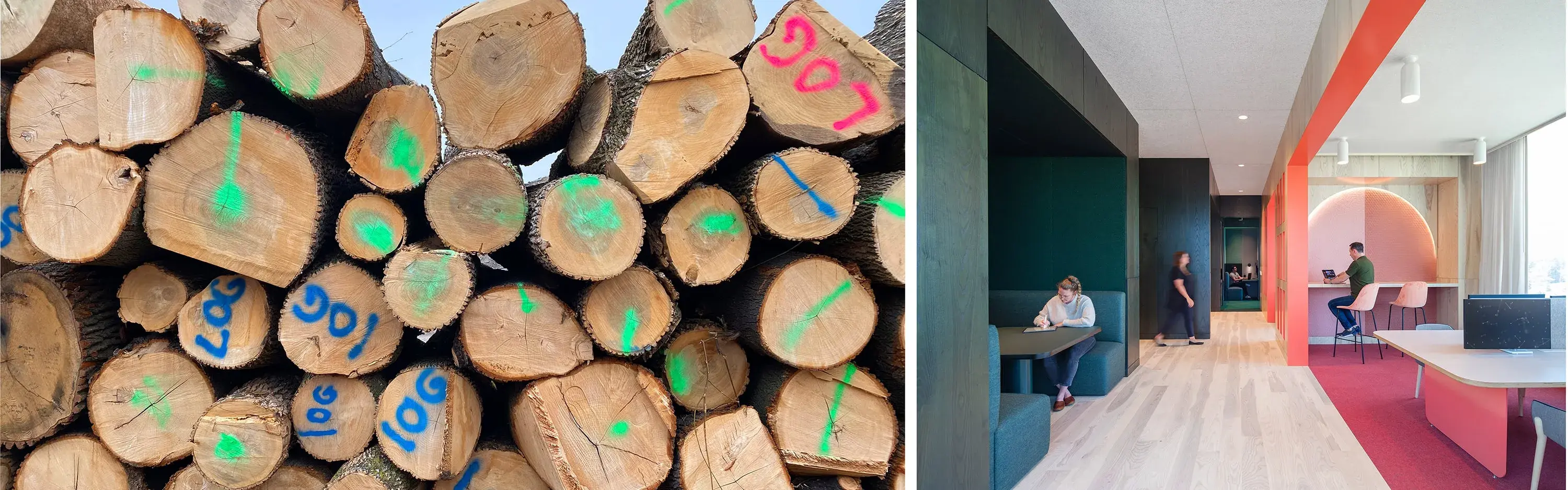 Urban Wood: A Local Resource with Global Benefits