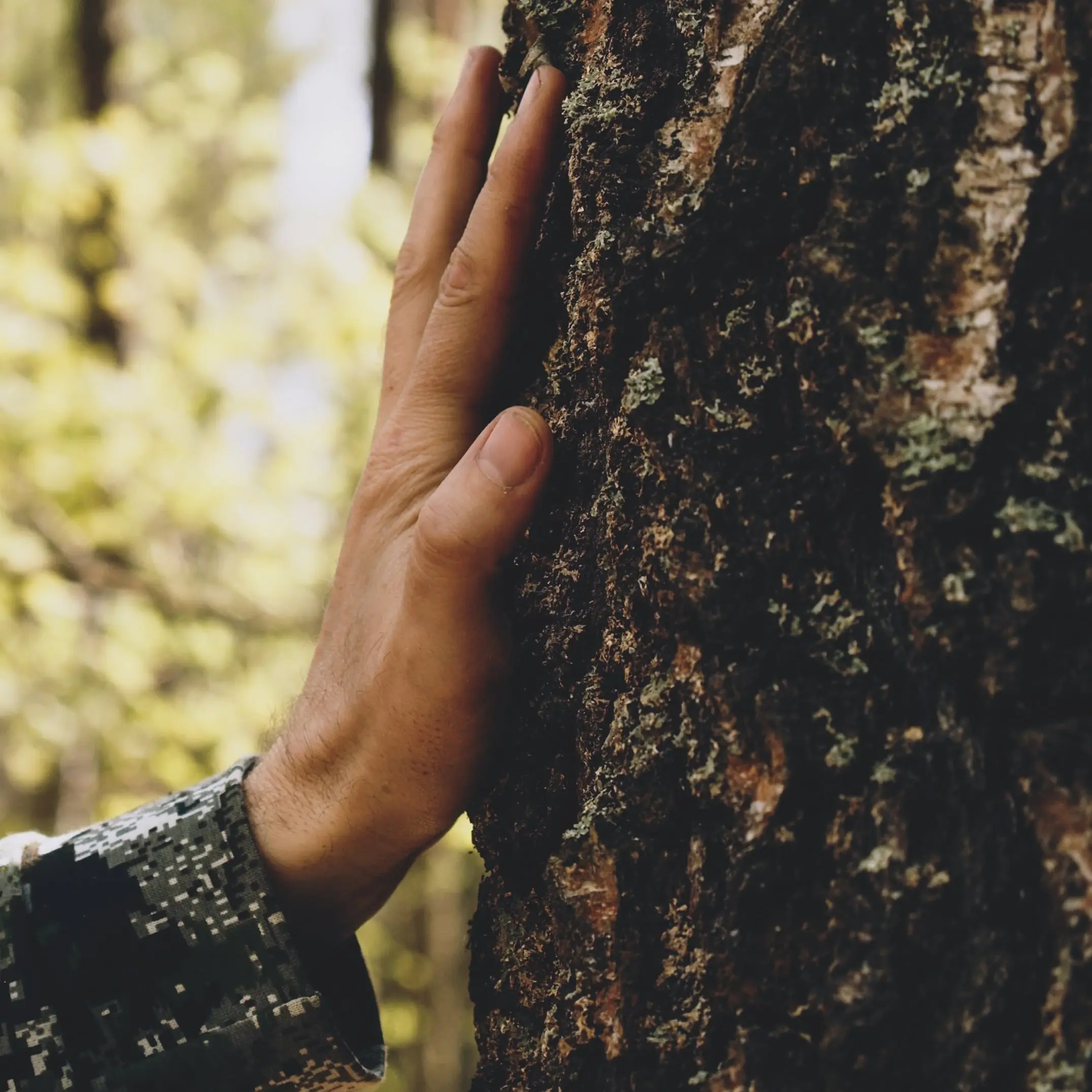 Materials at Hand sq web-min