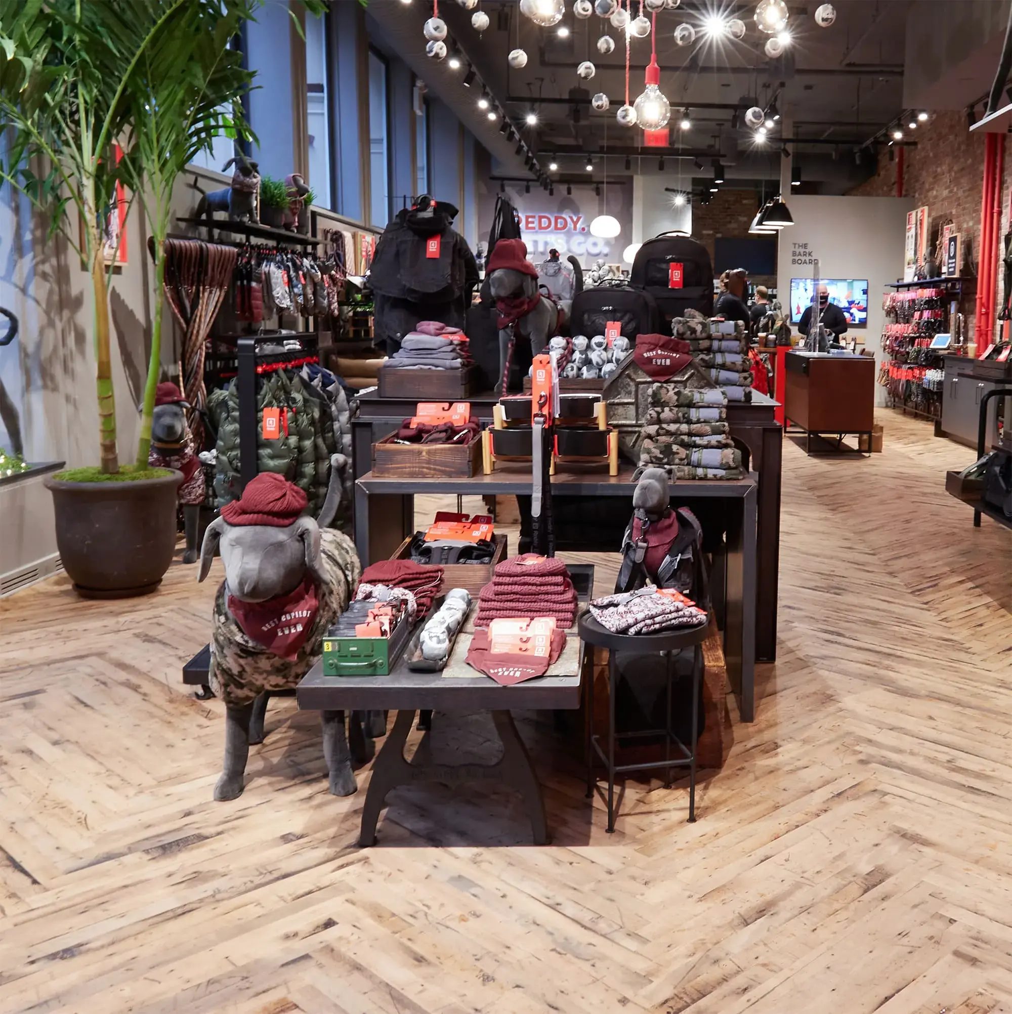 Petco hero sq display web-min