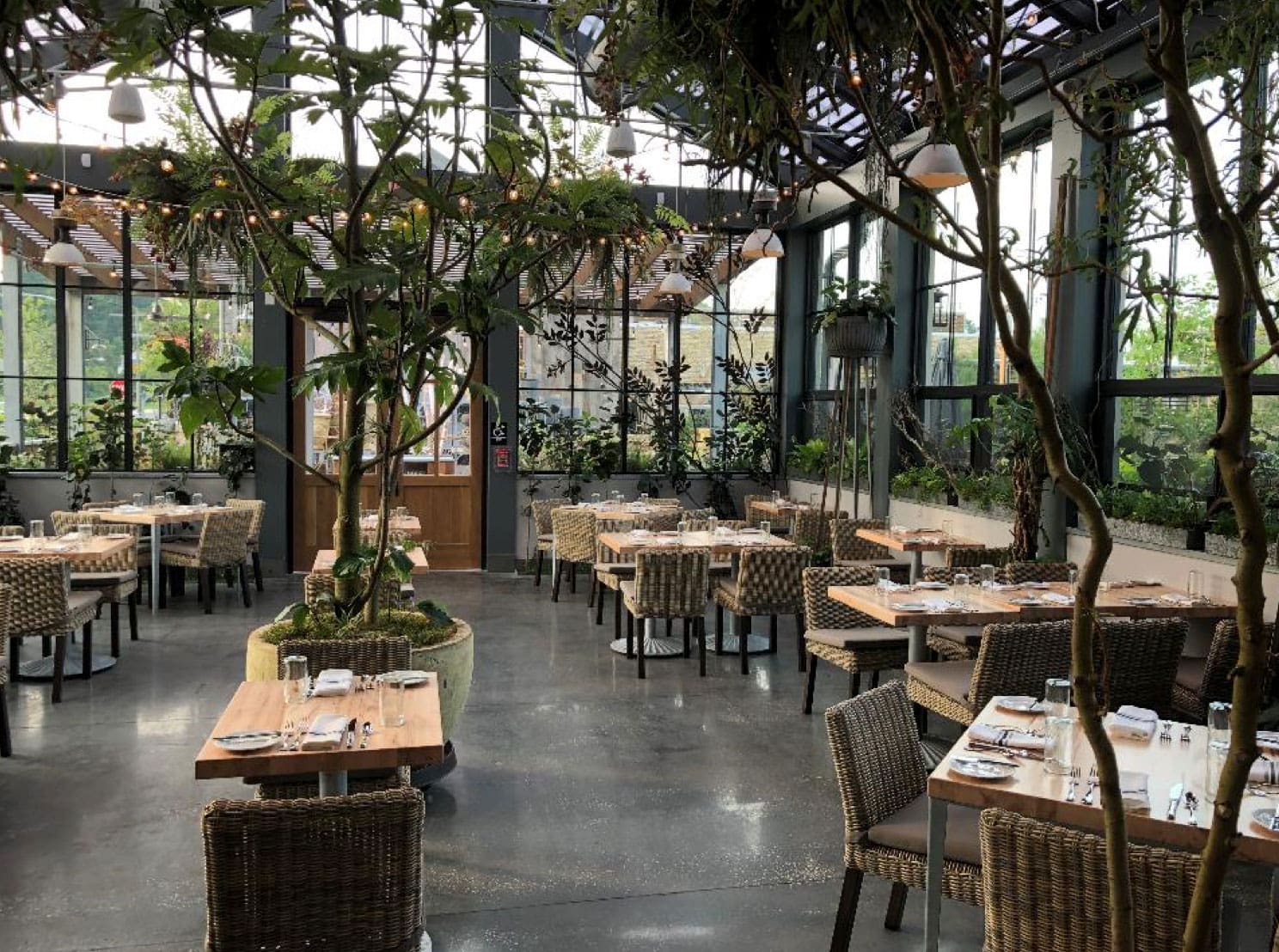 Terrain-Cafe_1_optimized-copy