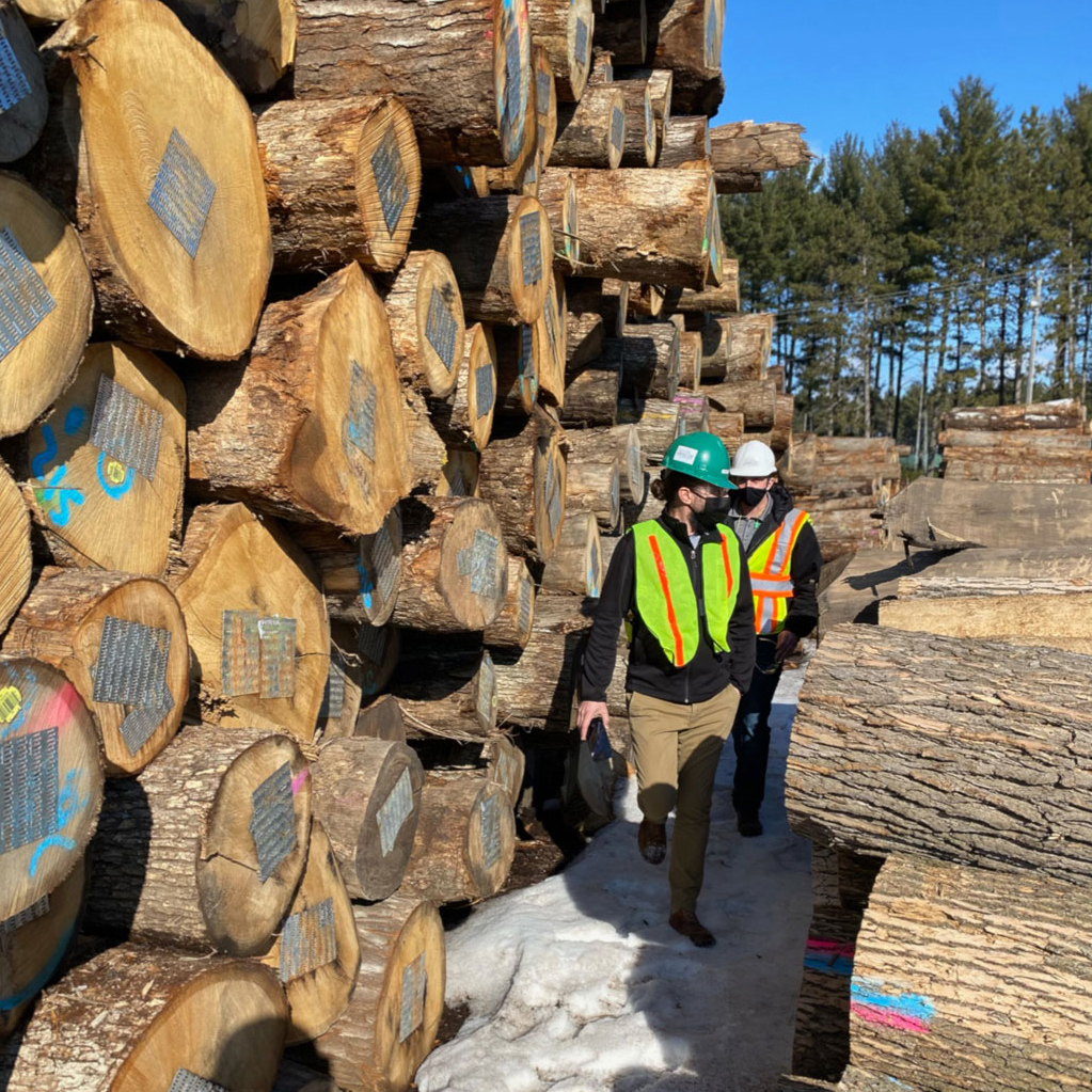 Scott Boncher Selecting Fallen City Trees for Urban Wood Products