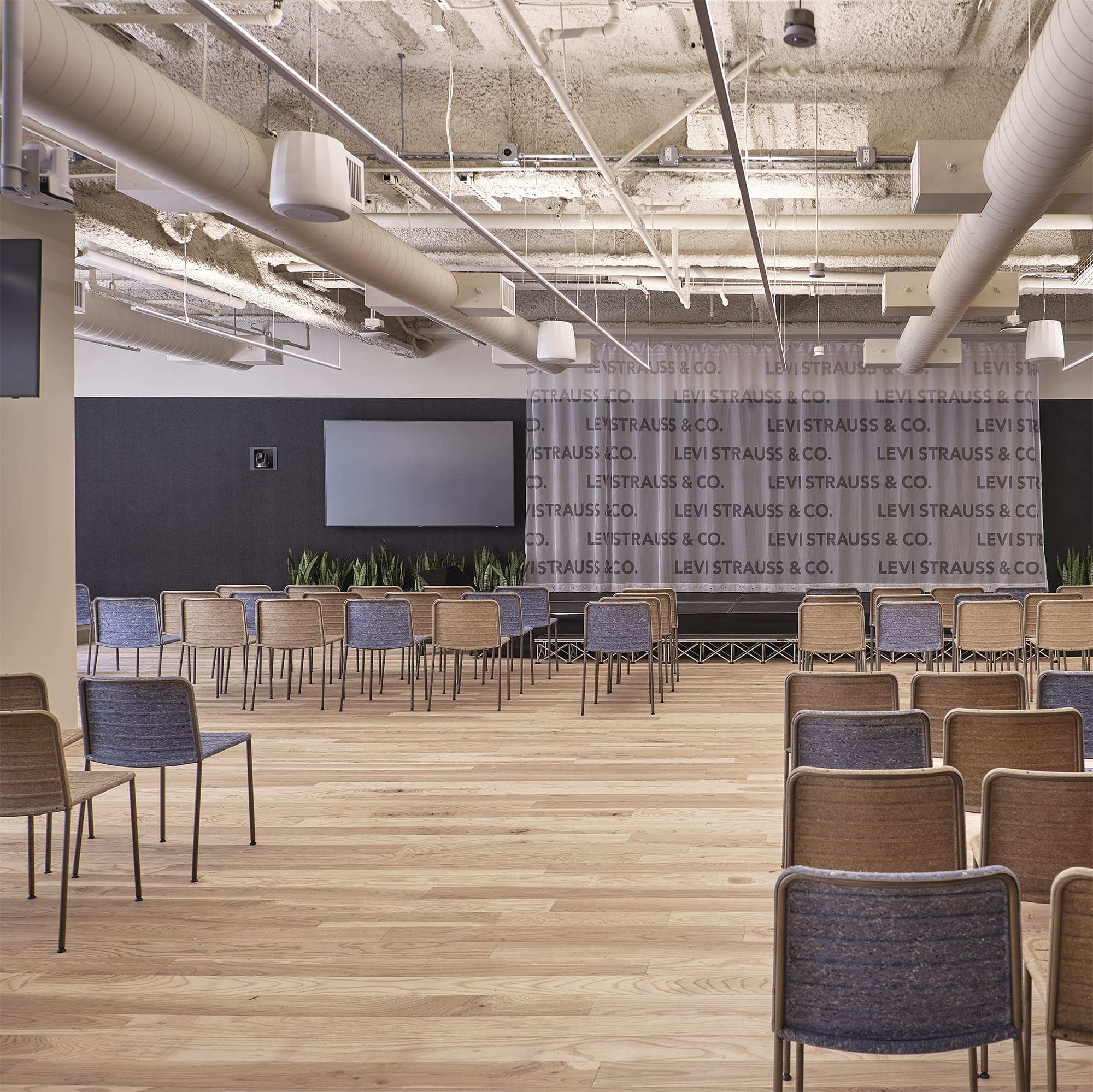 Levis haas audit sq web